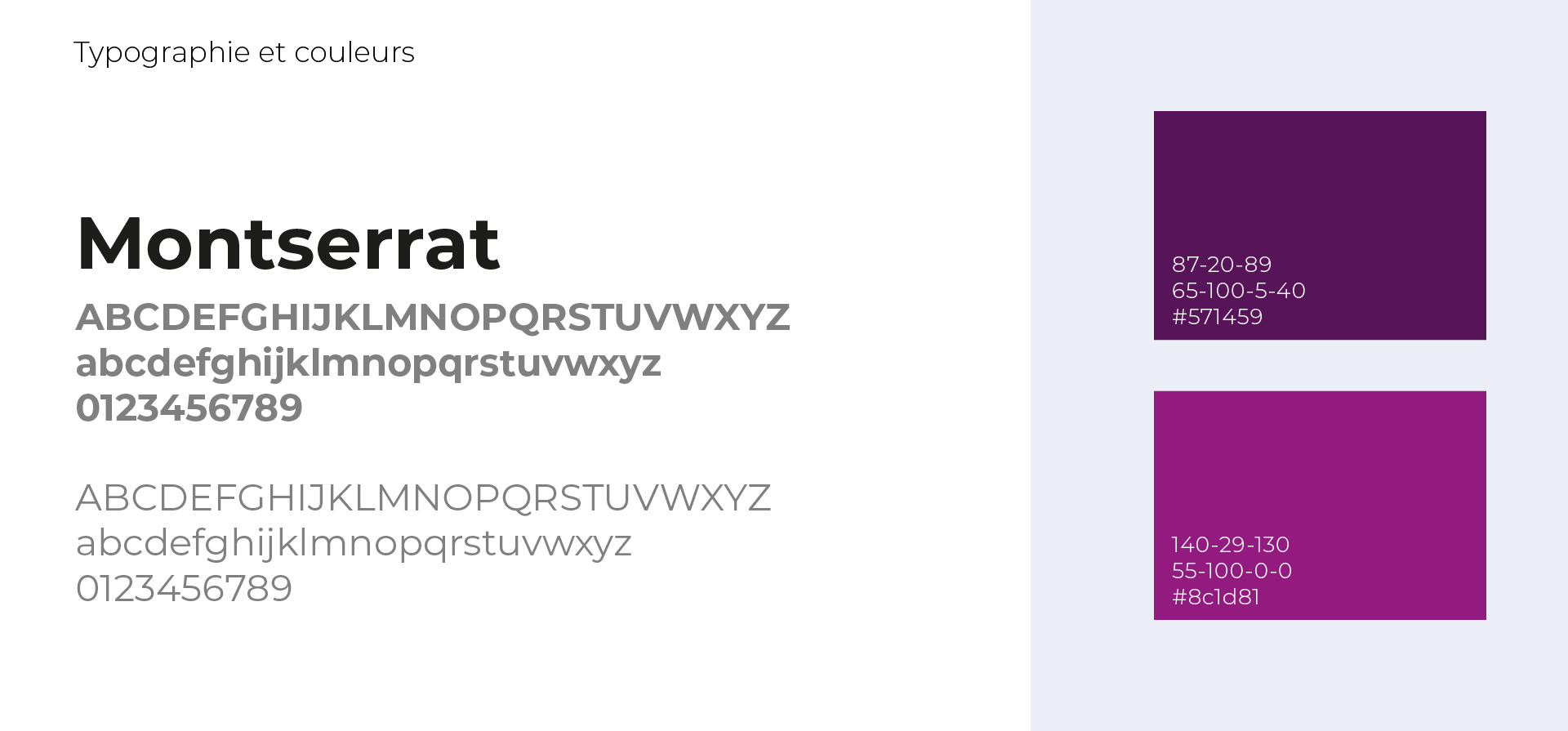 Dispeo brand identity